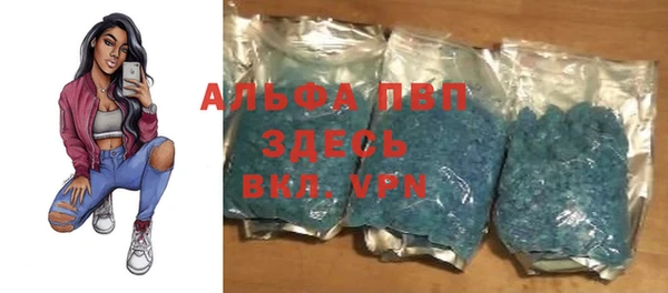 гашик Абаза
