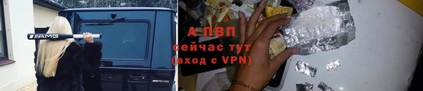 амф Алексин