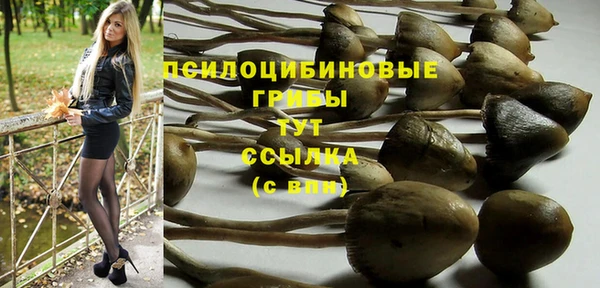 амф Алексин