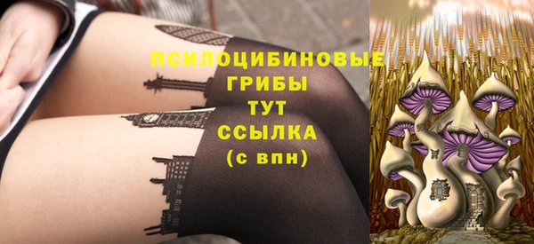 эйфоретик Алексеевка