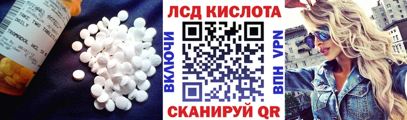 кракен сайт  Куровское  Лсд 25 экстази кислота  где продают  