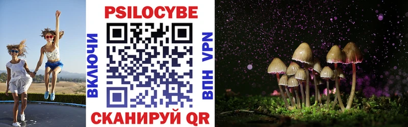 Псилоцибиновые грибы мицелий Куровское