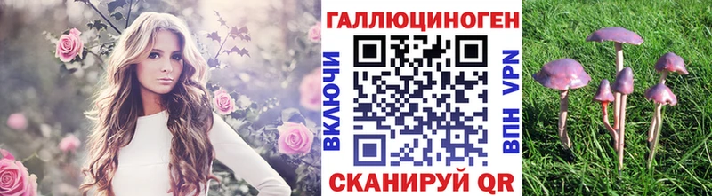 продажа наркотиков Куровское Псилоцибиновые грибы мухоморы
